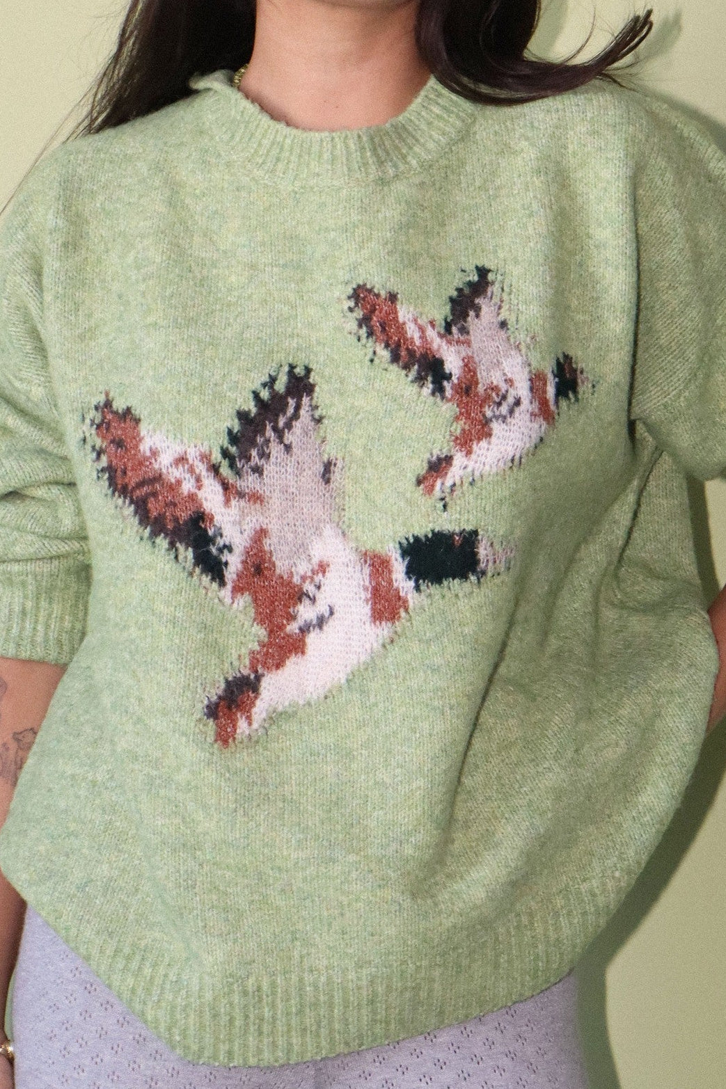 The Darling Duck Sweater- Spring Green