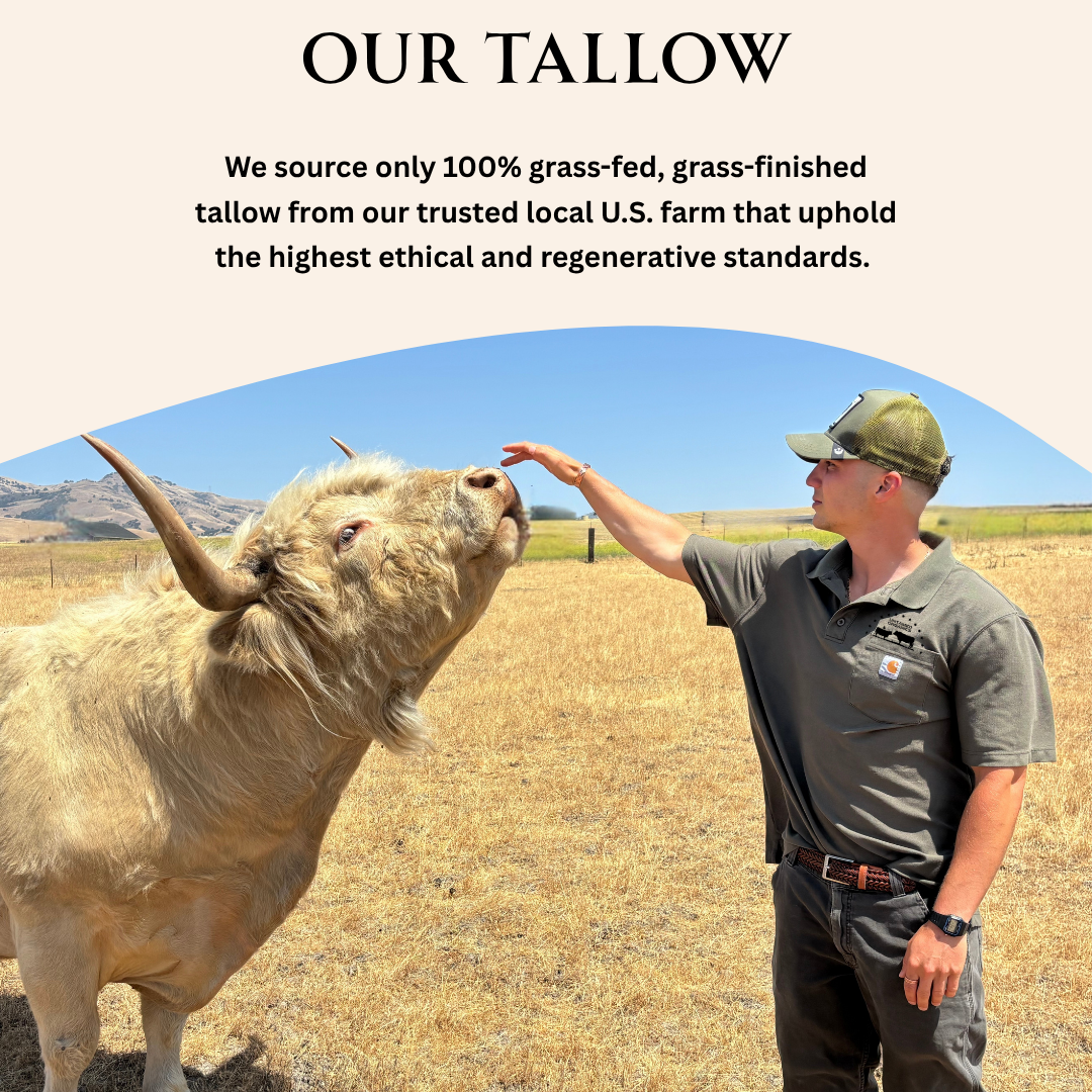 Grass-Fed Tallow & Wild Honey Skin Balm | 2 oz Glass Jar