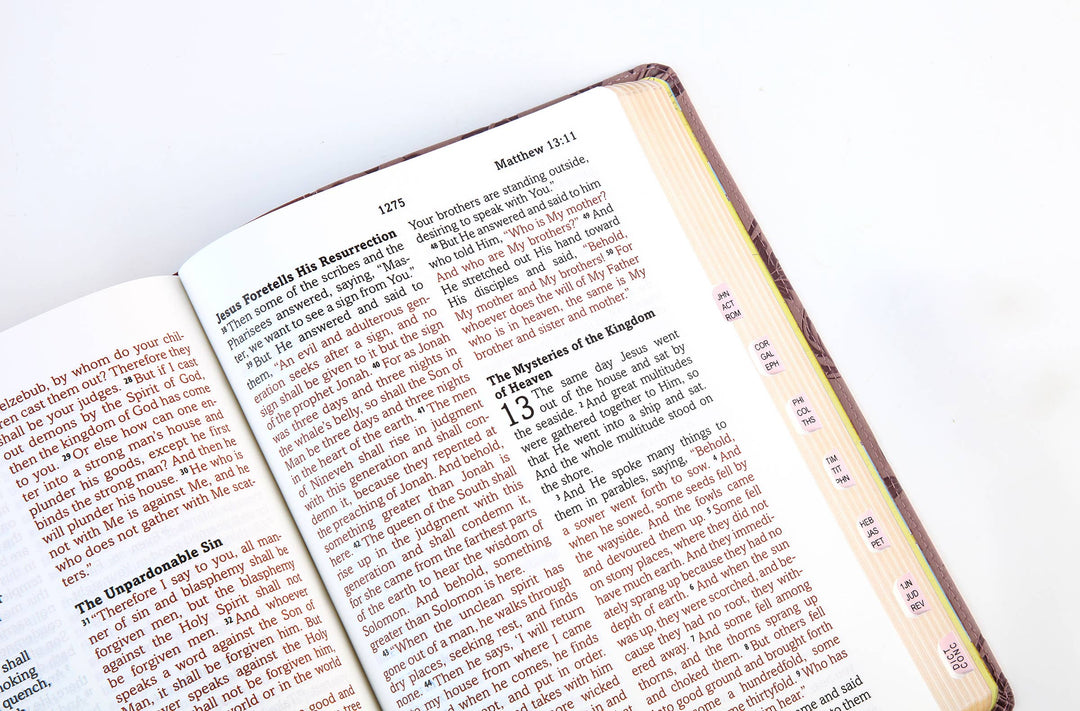 Barbour Simplified KJV--Large Print [Plum & Paisley]