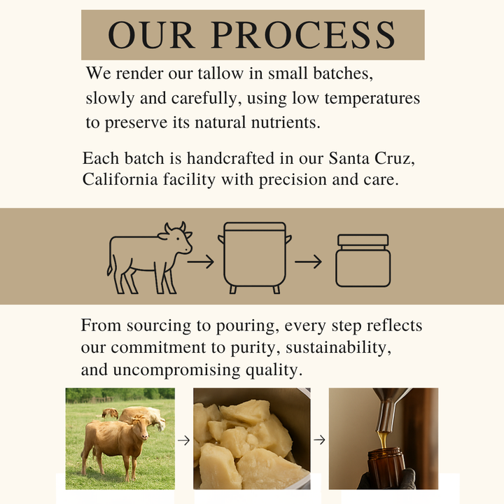 Grass-Fed Tallow & Wild Honey Skin Balm | 2 oz Glass Jar