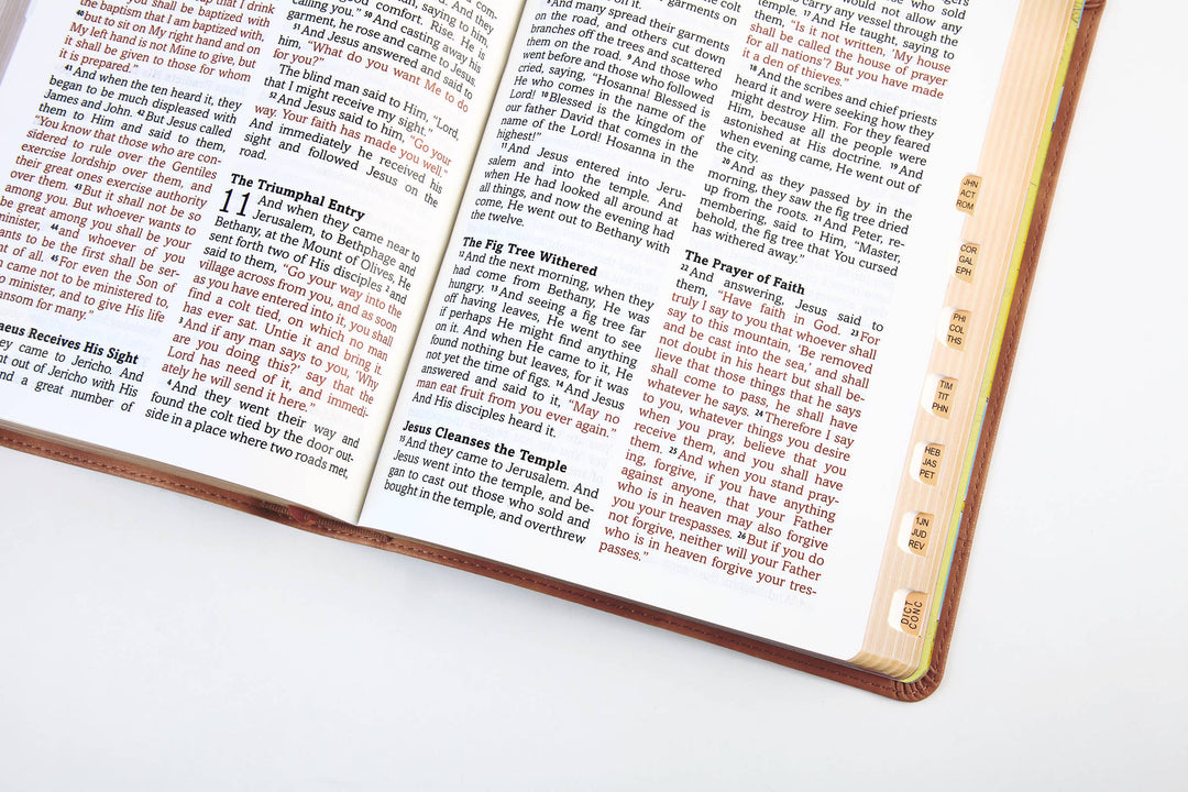 The Barbour Simplified KJV--Large Print [Rust & Stone Cross]