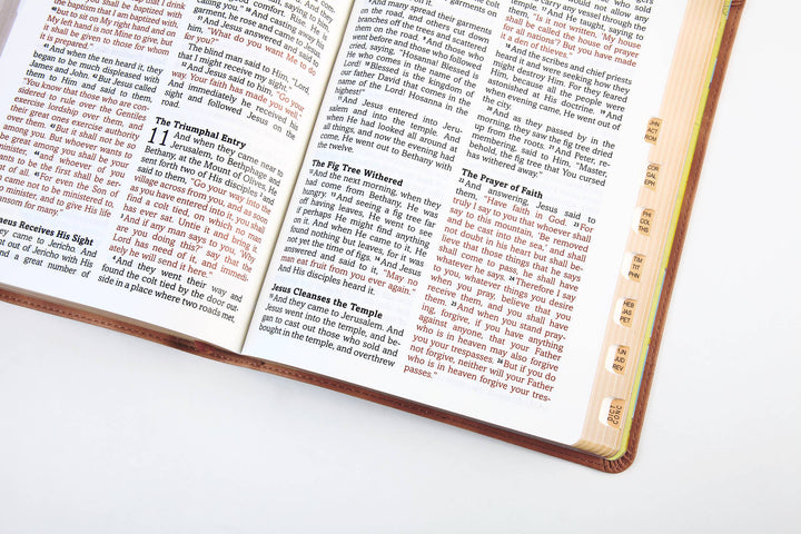 The Barbour Simplified KJV--Large Print [Rust & Stone Cross]