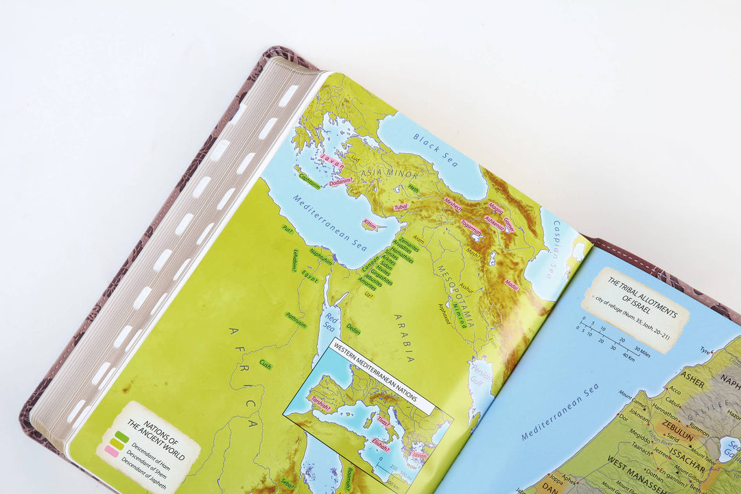 Barbour Simplified KJV--Large Print [Plum & Paisley]