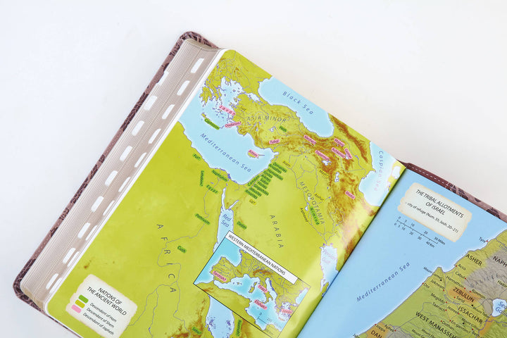 Barbour Simplified KJV--Large Print [Plum & Paisley]